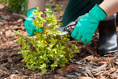 Community gardeners tending to vegetable plots in Canary Wharf
